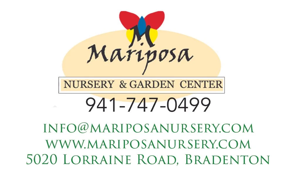 Mariposa Nursery.jpg