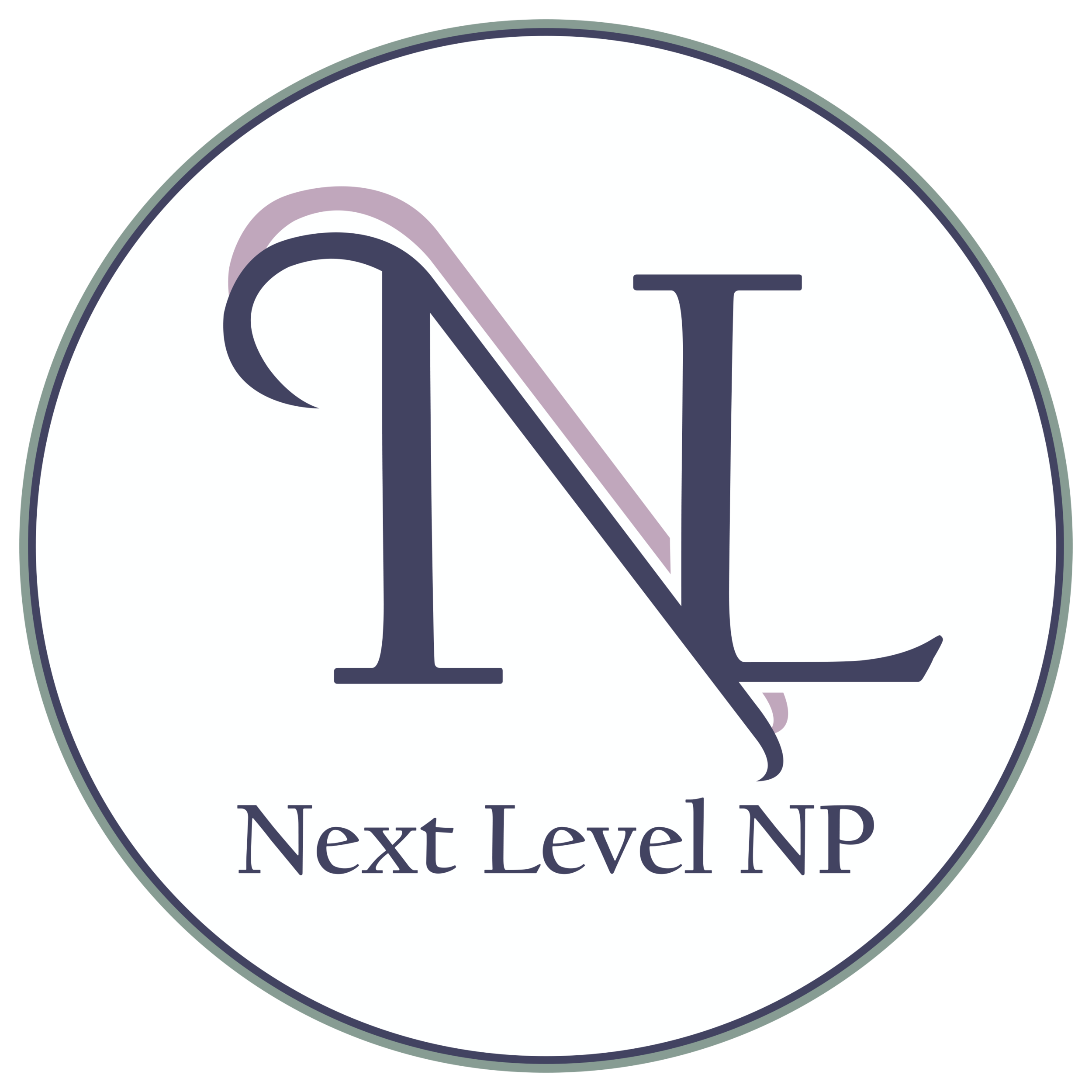 Next Level White logo.png