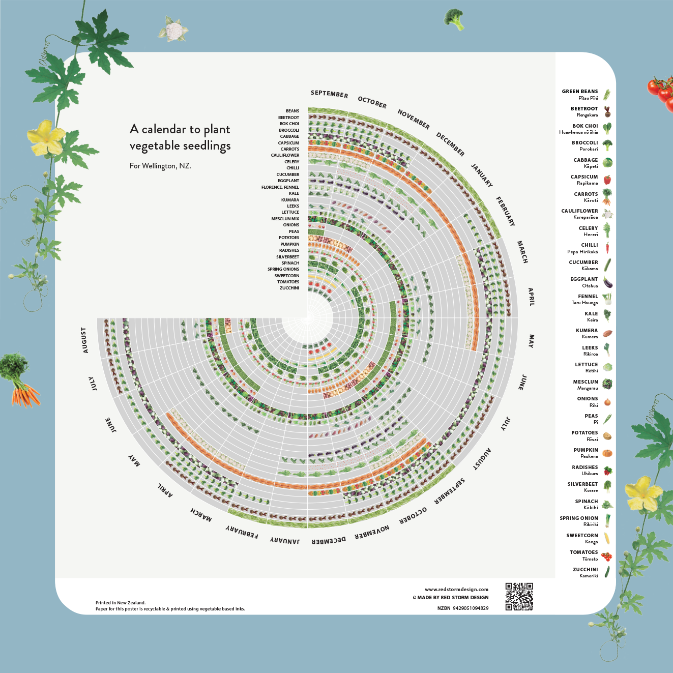 Planting vegetable seedlings for the Wellington region.