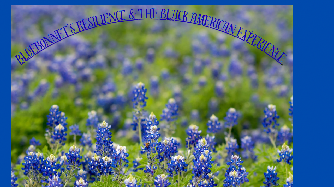 Bluebonnet's Resilience &amp; Black American Experience