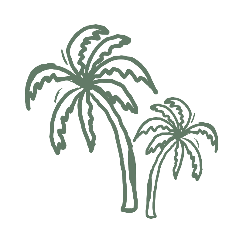 Palm tree illustration