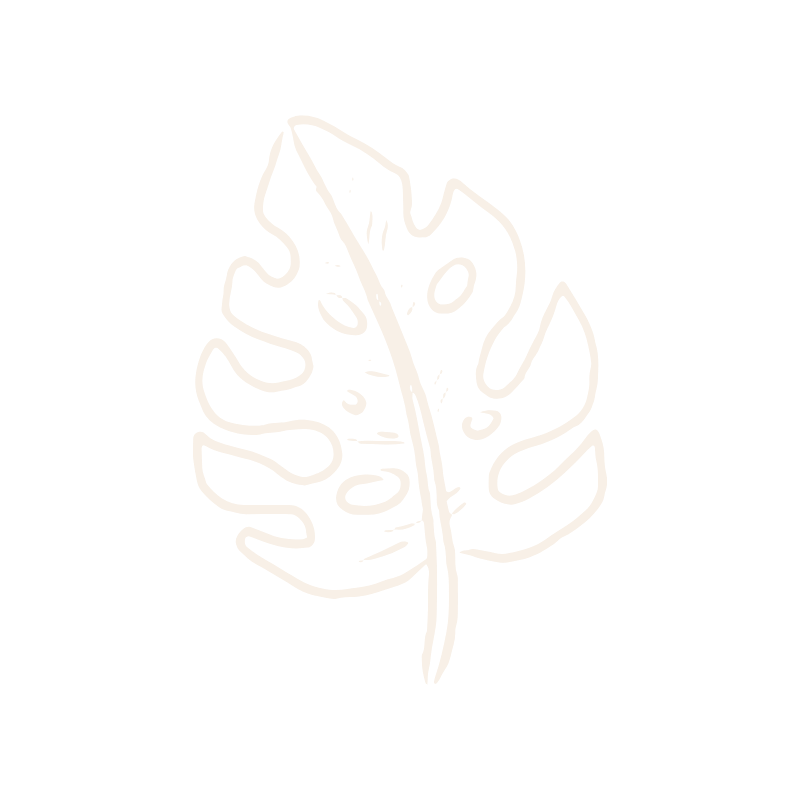 Monstera leaf illustration