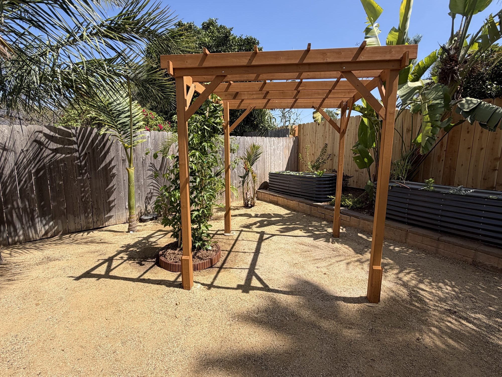 Cedar pergola covered by a mature passion fruit vine above decomposed granite in a San Diego backyard