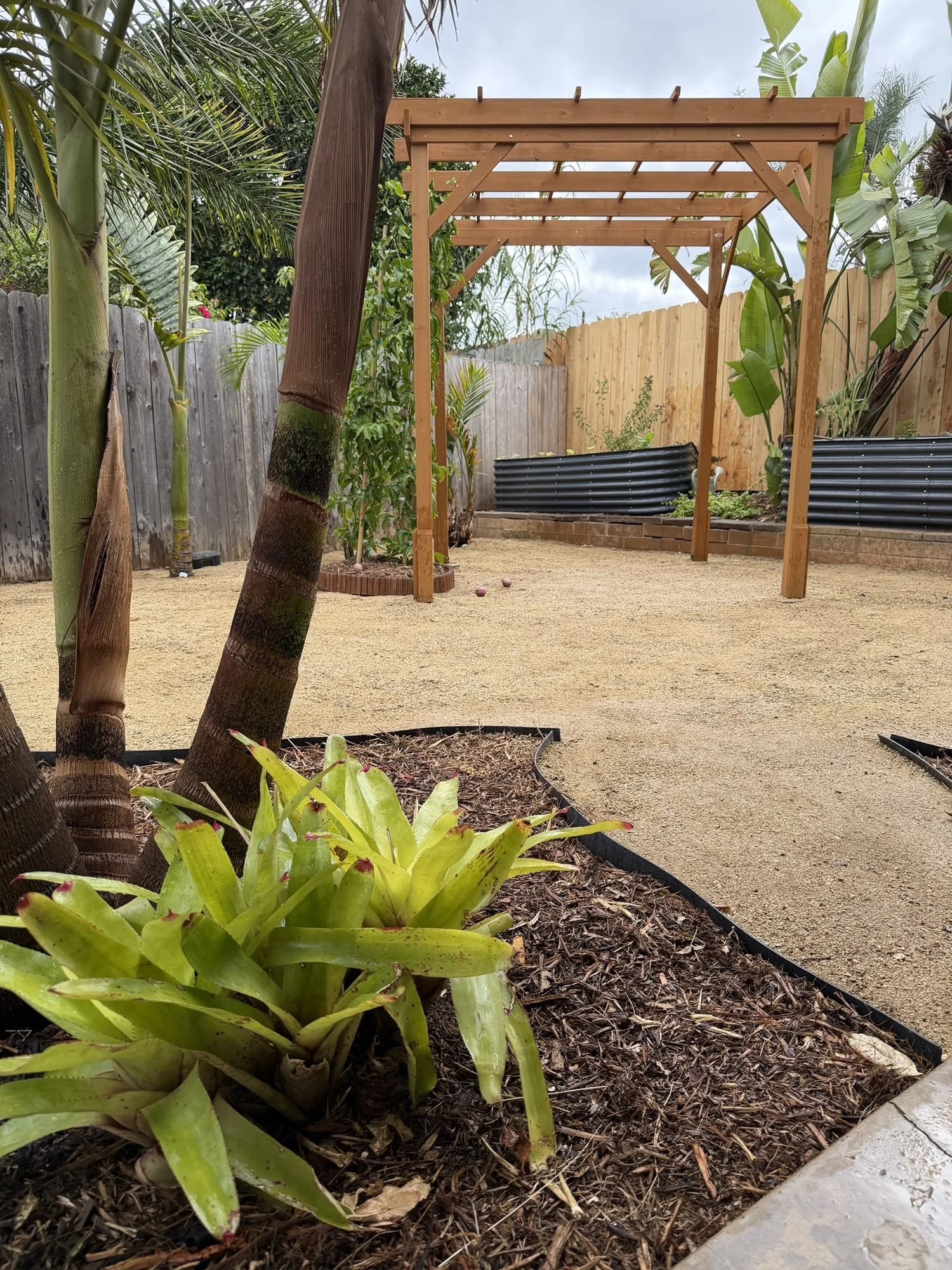 Mulched bromeliad and succulent bed with black edging next to a decomposed granite path and cedar pergola in San Diego