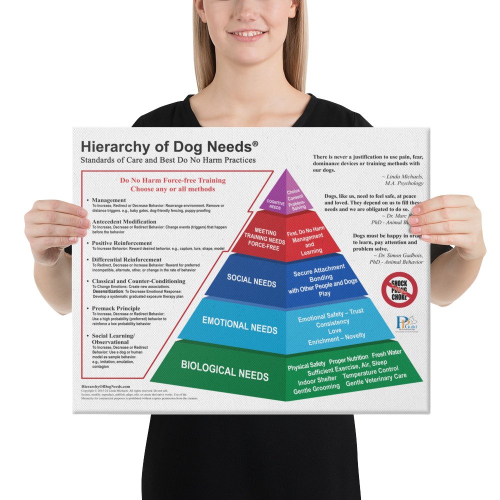 canvas-(in)-16x20-person-65930073b3e61.jpg