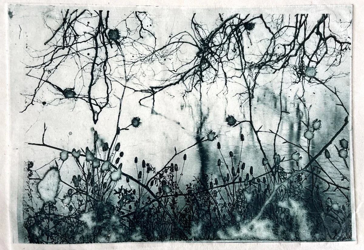 'Frozen Lake' - Photopolymer Etching