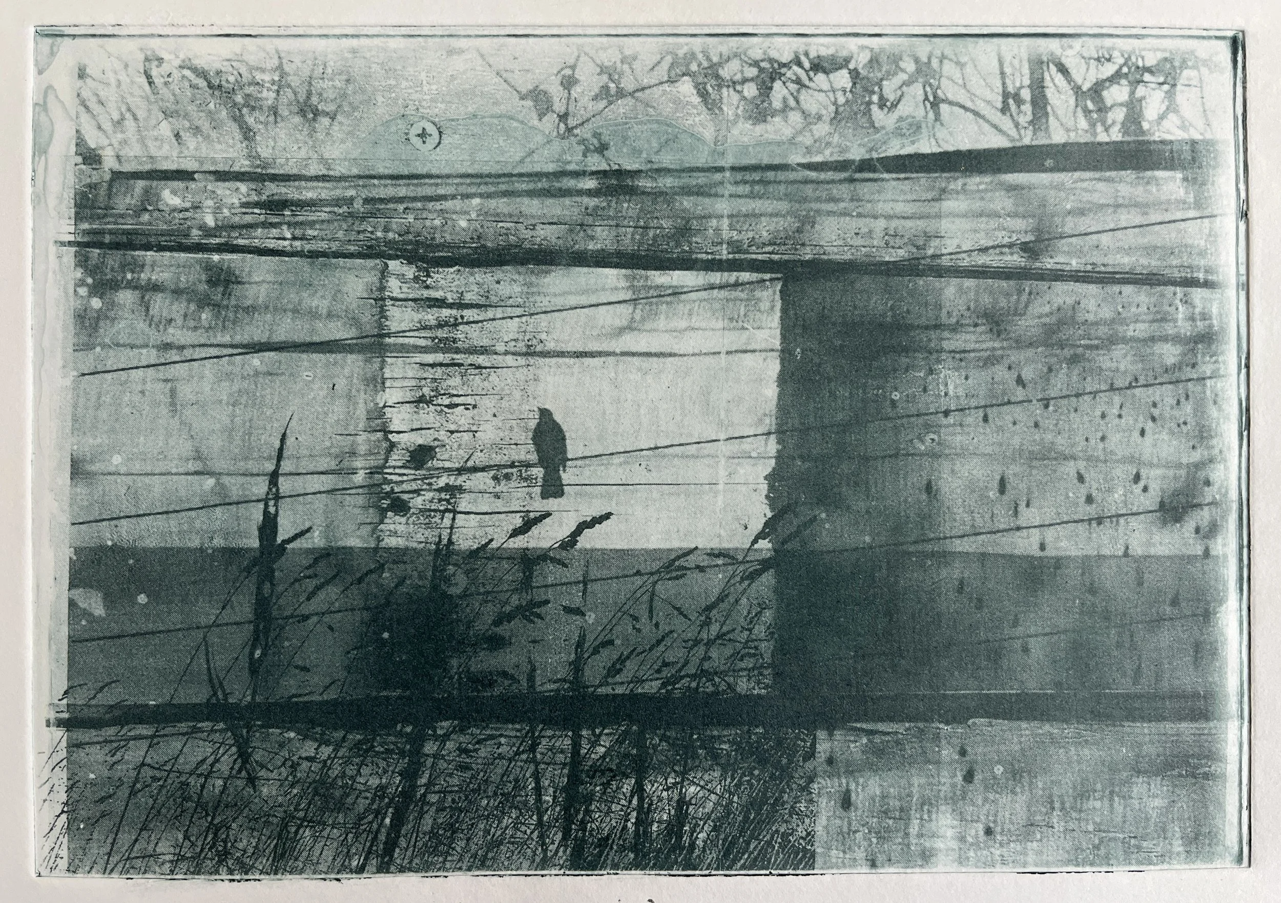 'Bird on a Wire' - Photopolymer Etching
