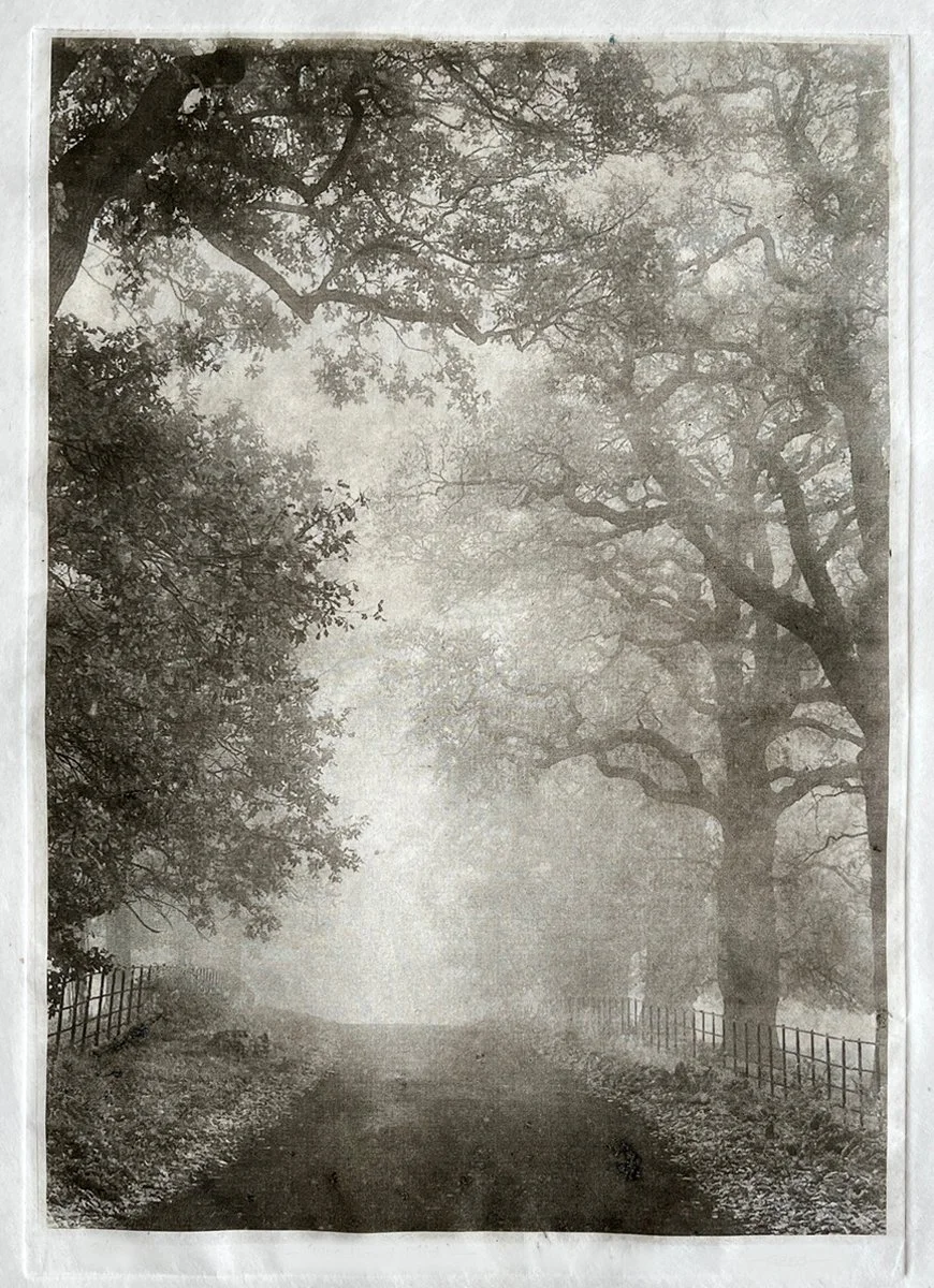 'Woodland Mist' - Photopolymer Etching