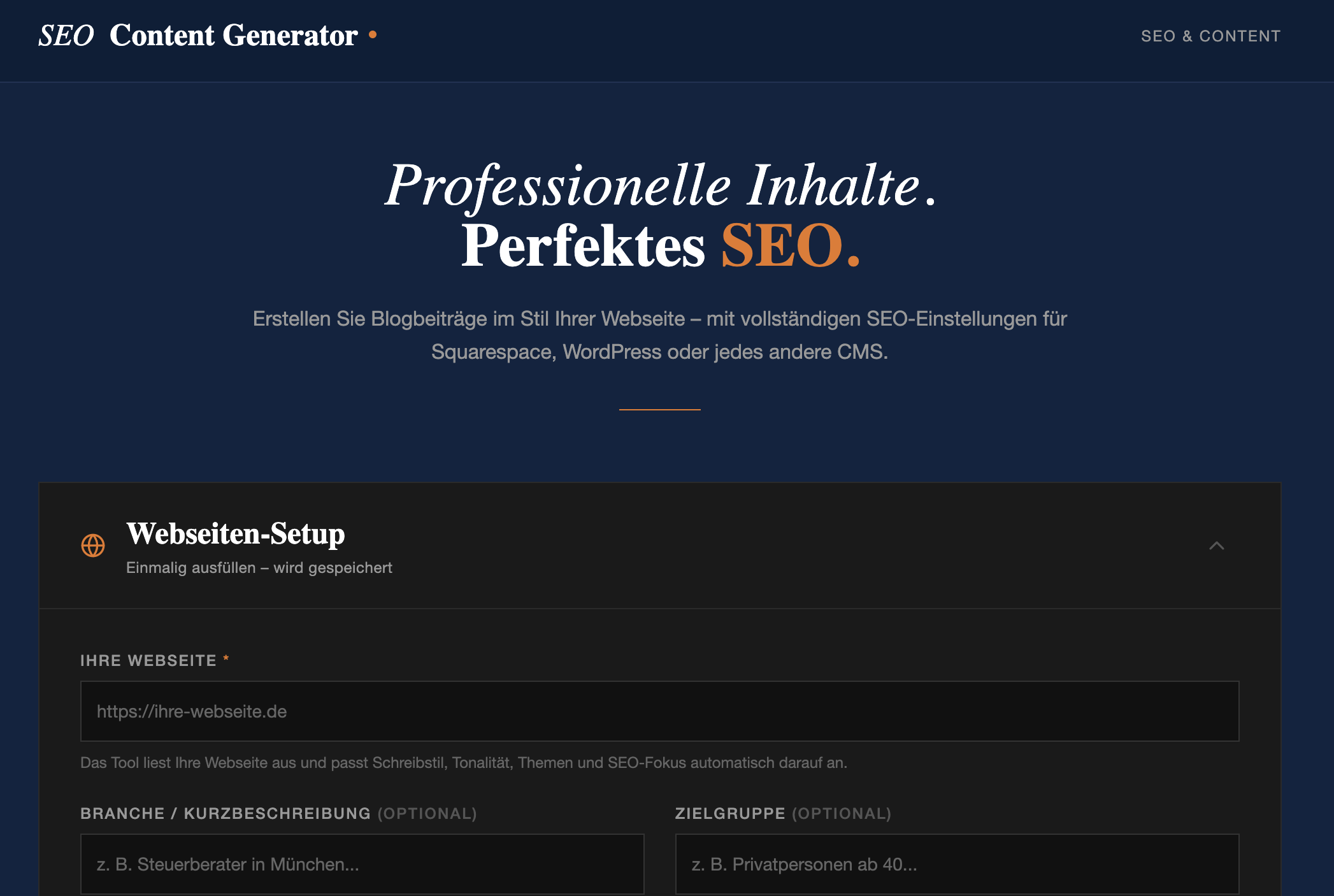 SEO-Tool benz reichenauer3.png