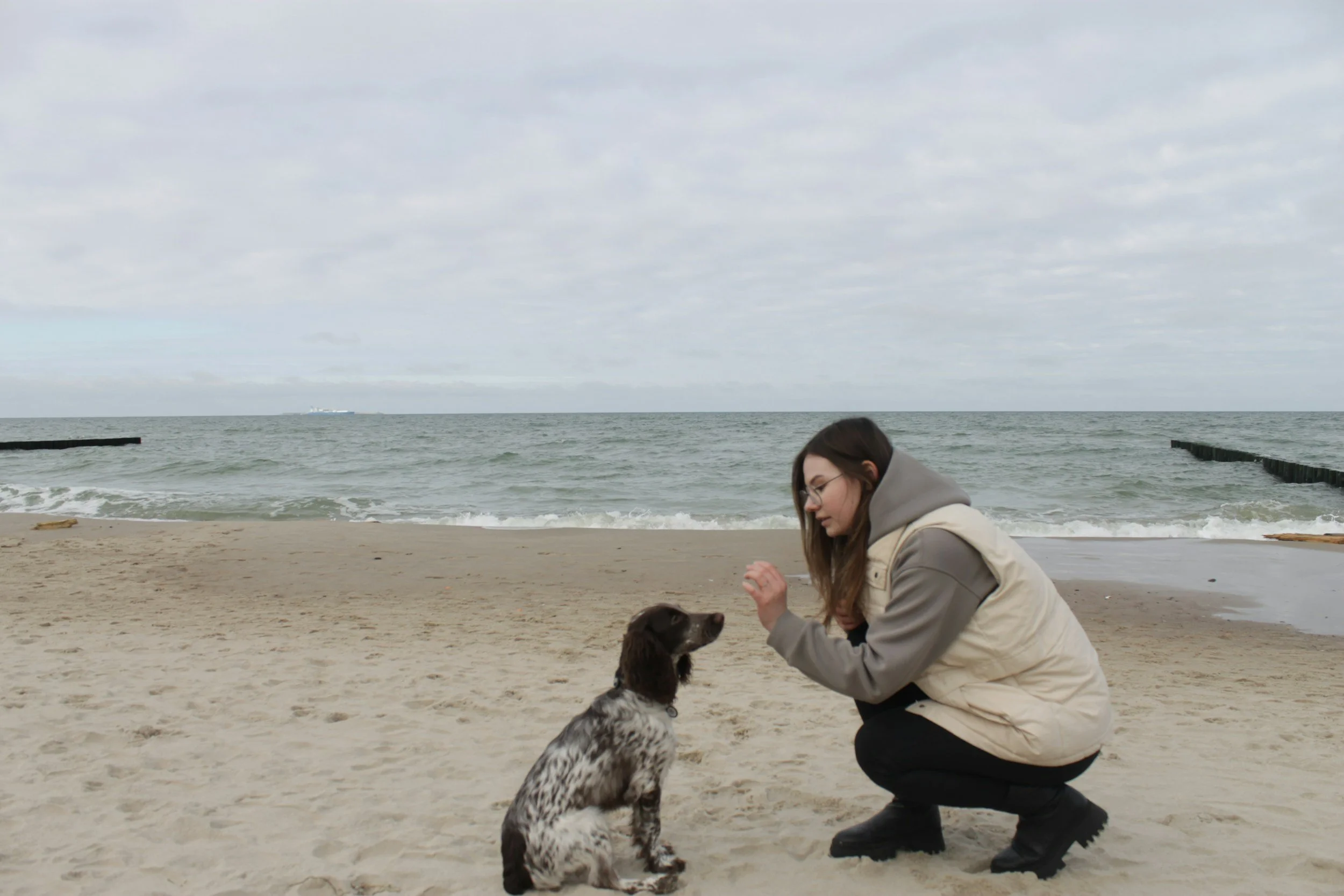 Clicker or “Yes”? Clear Marker Training for Dogs