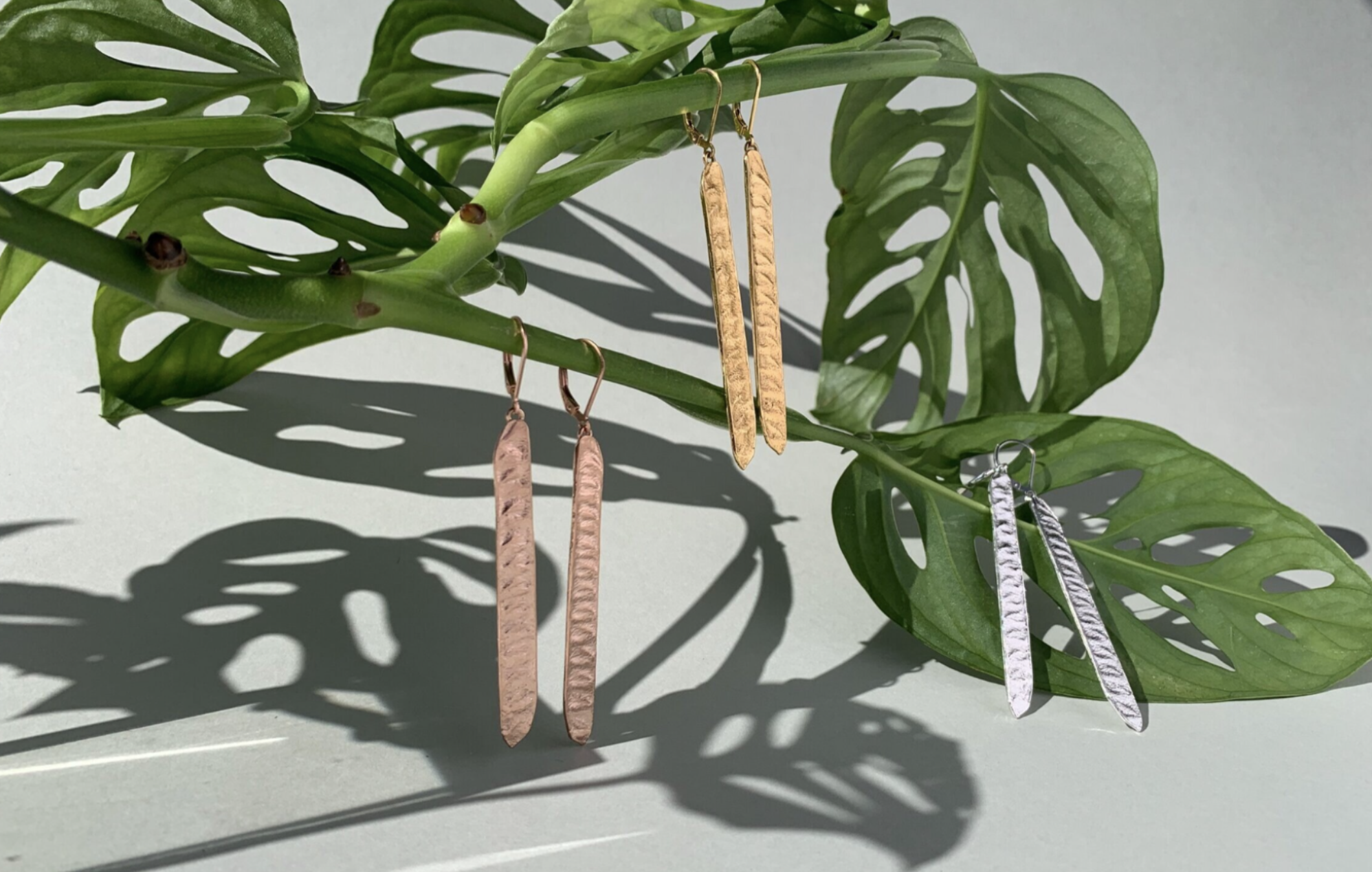 DISCOVERY COLLECTION