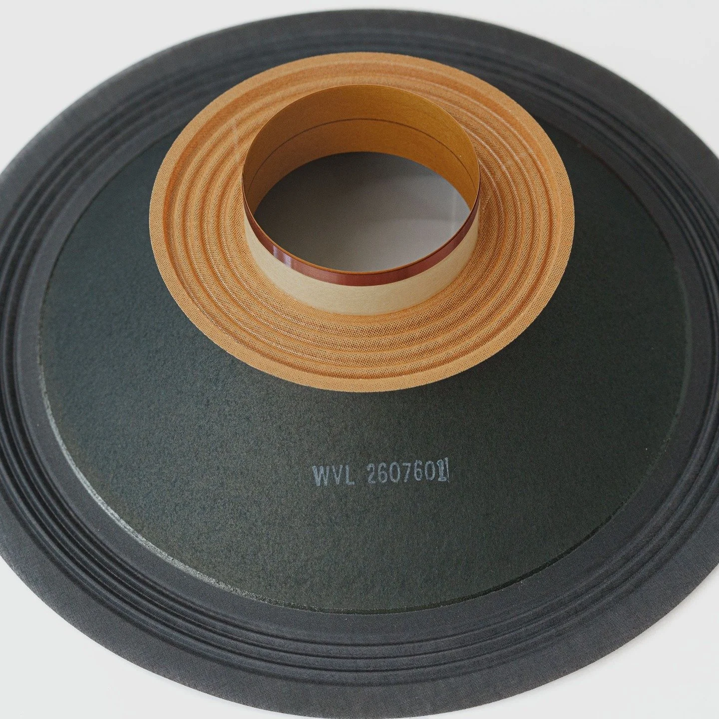 .
We manufacture complete speaker systems, as well as transducers.

https://wolfvonlanga.de
https://wolfvonlanga.com
https://fieldcoilloudspeakers.com
#wolfvonlanga