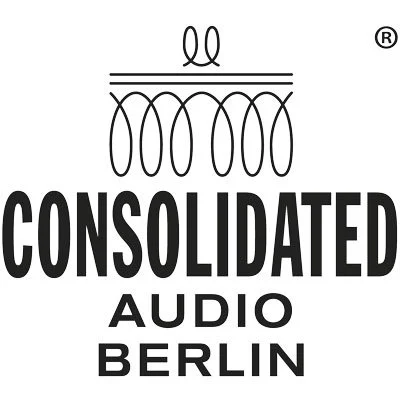 Analog Step-Up Transformer