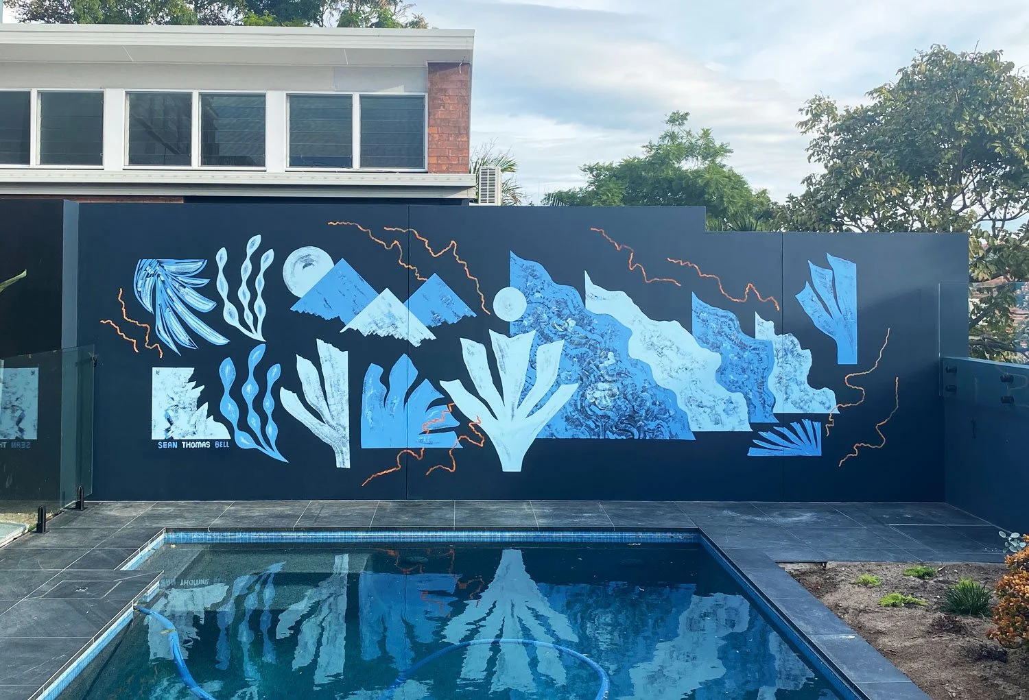Experienced mural artist Newcastle and Sydney Australia