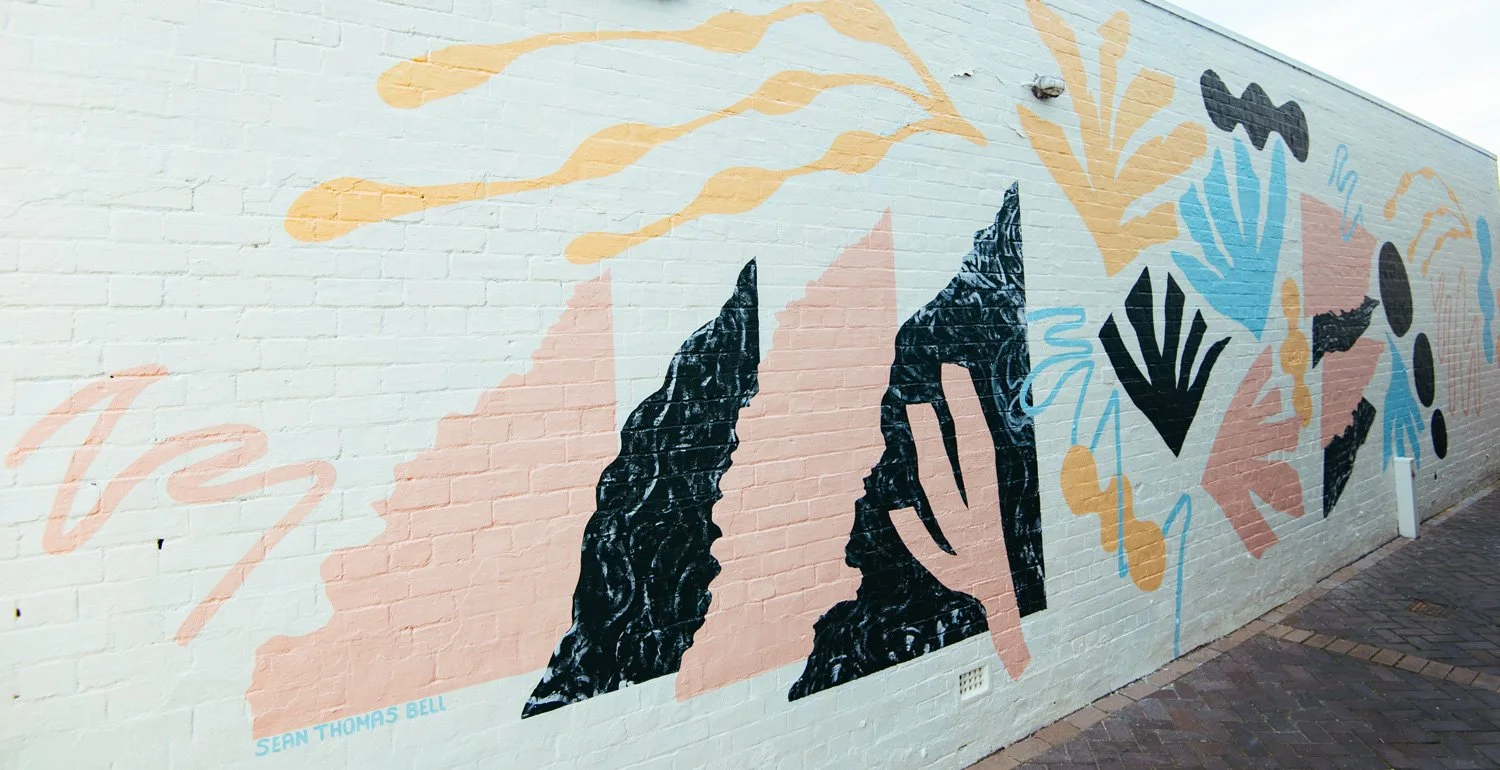 mural from the big picture festival newcastle done by sean thomas bell