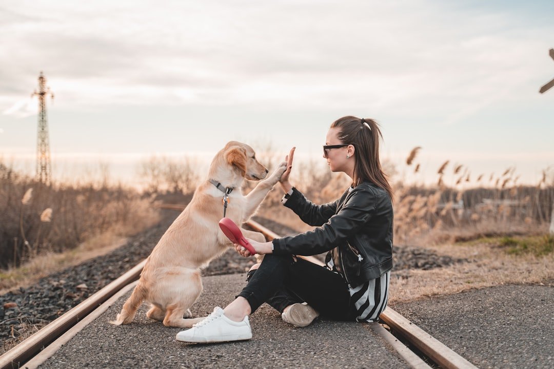 The Ultimate Guide to Immersion Training for Dogs