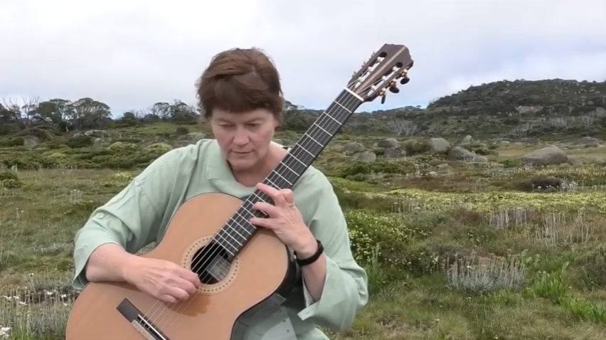 A Panoply of grey: for guitar and loop station.