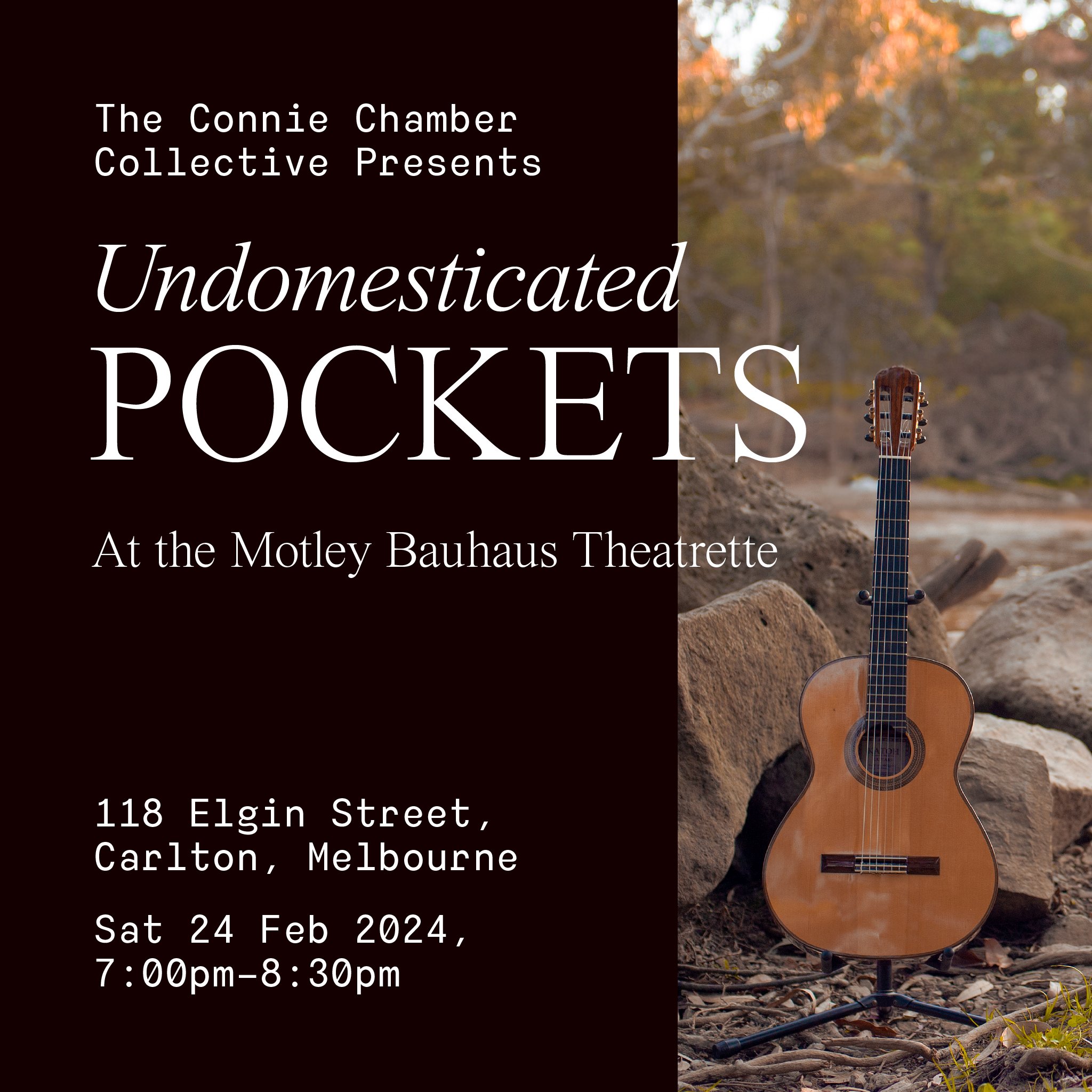 Undomesticated Pockets: Launch and live performance