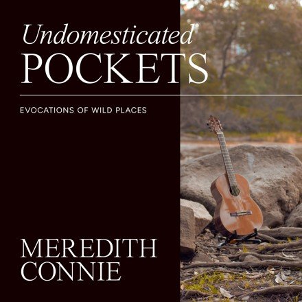 New Recording Undomesticated Pockets: Evocations of Wild Places