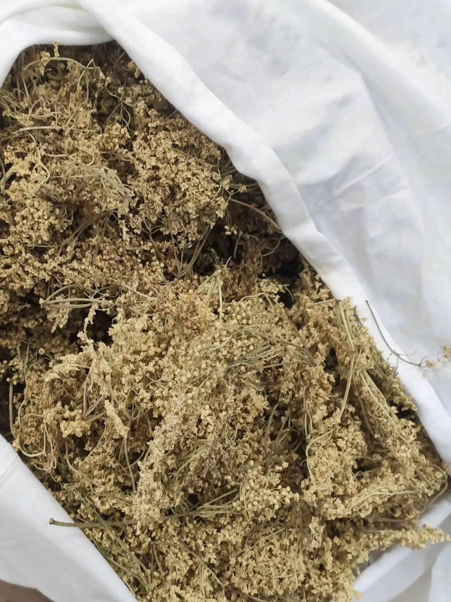 Fleur de sureau et menthe bergamote 🌿🌷
Les stars de notre infusion glacée 🍸
Bio et françaises, pour une infusion moins sucrée que la majorité des boissons 💁🏻‍♀️
Parce que les bulles ça va bien un moment h
