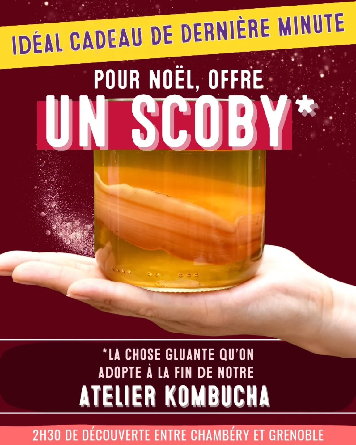 &Agrave; la bourre pour tes cadeaux de No&euml;l ? 🤯

Offre un SCOBY ! Cadeau de derni&egrave;re minute id&eacute;al, offre une d&eacute;couverte du kombucha &agrave; vivre seul.e ou &agrave; plusieurs dans nos locaux ! ⚗️👩🏼&zwj;🔬

Visite, d&eacu
