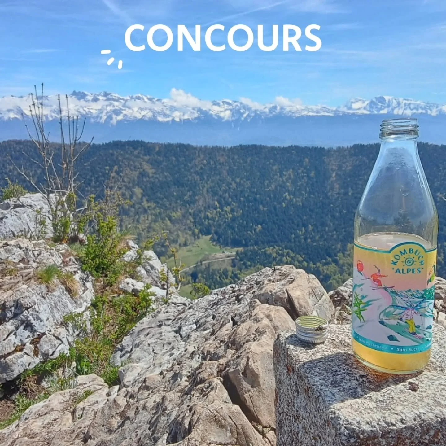CONCOURS 🍾🏆

📸 Saurez-vous deviner de quel sommet cette photo a &eacute;t&eacute; prise ? ⛰️

Le premier qui donne la bonne r&eacute;ponse gagne un carton de notre kombucha Pomme Coing Verveine ! 😋

A vos chaussures de rando !