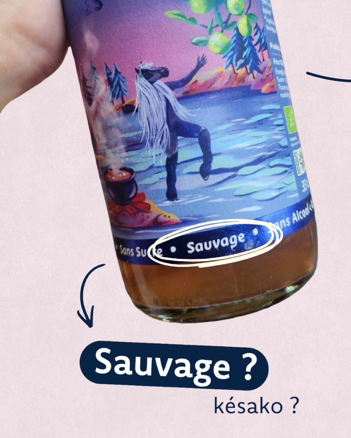 La slide 4 est &agrave; apprendre par c&oelig;ur 🤓

Et vous, vous aviez remarqu&eacute; le petit "sauvage" qui s'est gliss&eacute; sur nos nouvelles &eacute;tiquettes de kombucha ? 🐆
On vous explique tout sur cette annotation ⬆️

Parce qu