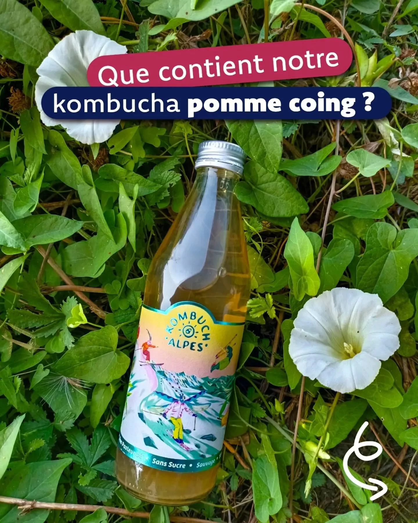 Les coulisses de la fabrication de cette recette sont trouvables sur nos 2 r&eacute;els &agrave; ce sujet et sur notre site internet 😉🍵