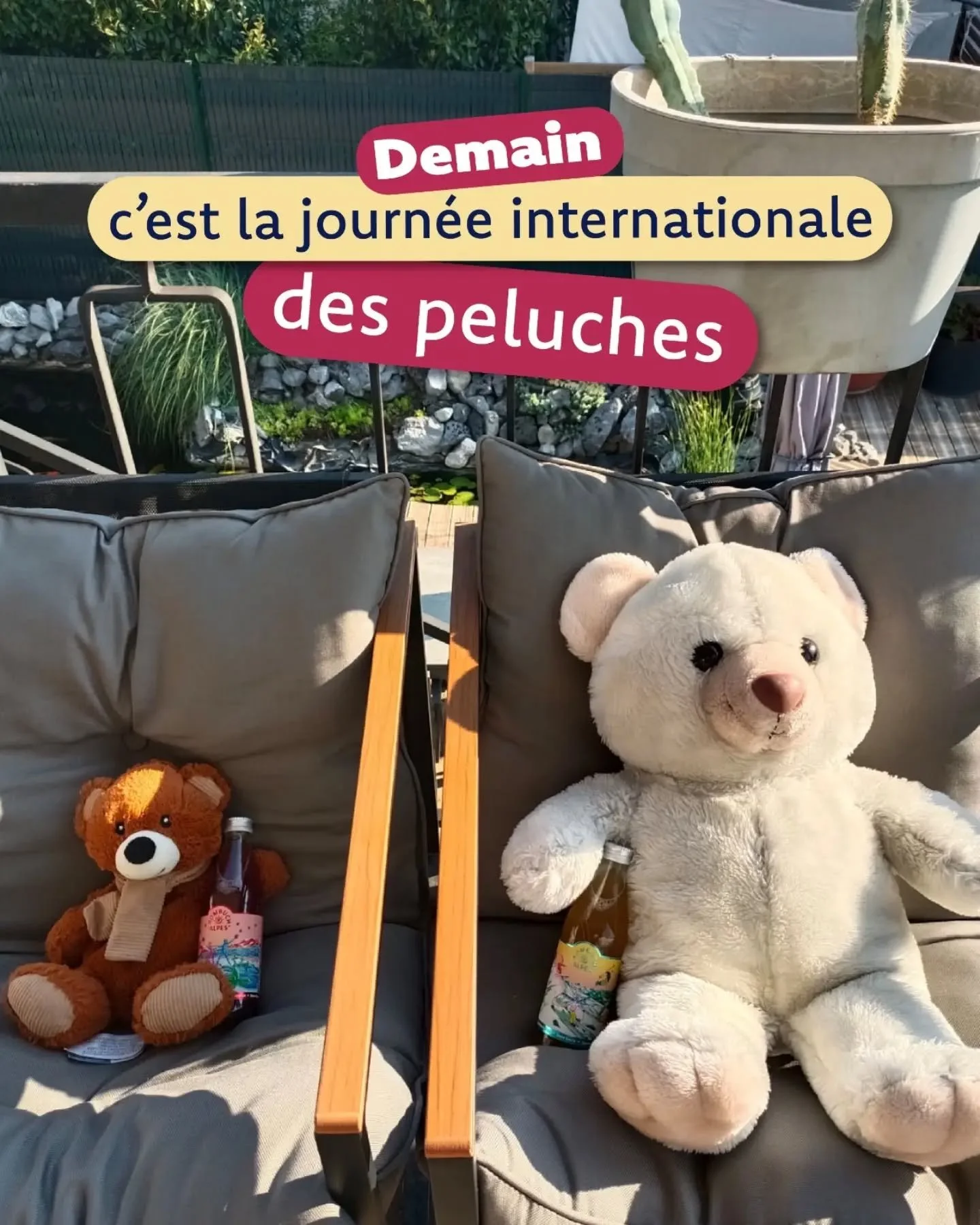 Petites, grandes, douces ou us&eacute;es par les c&acirc;lins, chaque peluche a une histoire &agrave; raconter.
Alors trinquons en leur sant&eacute; ! 🧸