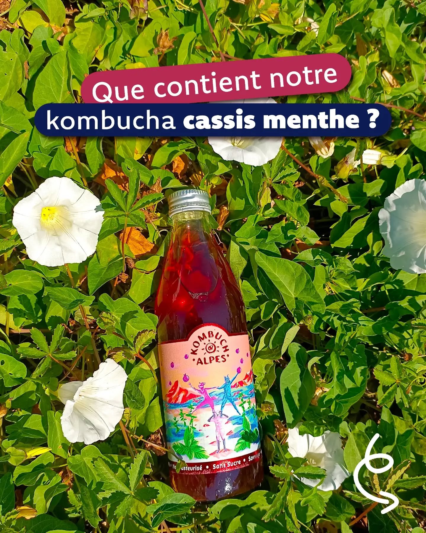 Pour + d'infos, n'h&eacute;sitez pas &agrave; jeter un oeil &agrave; notre site 👀🌿