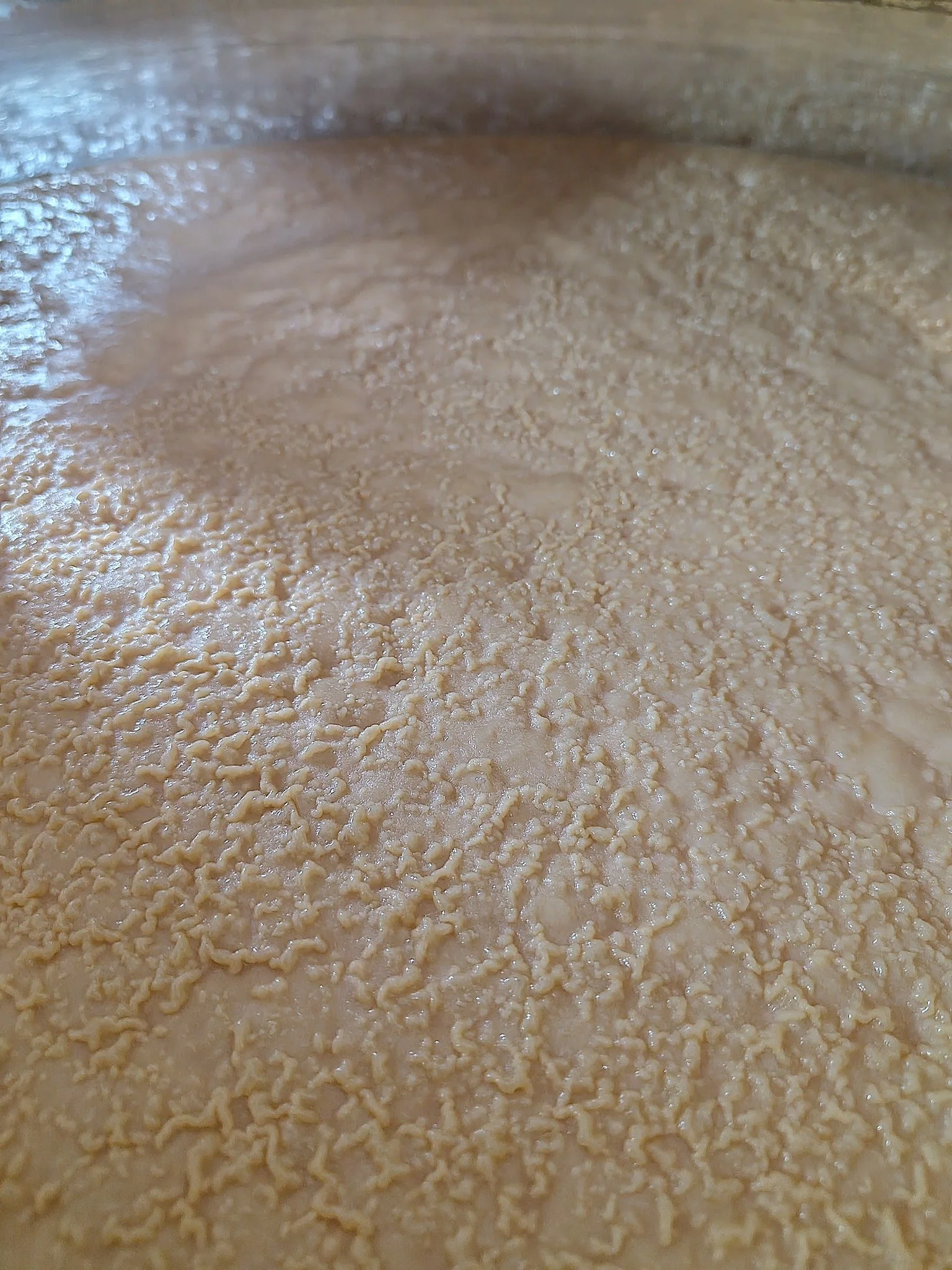 Tu souhaites apprendre &agrave; lire l'avenir et les vertus dans les scoby ? Tu as toujours r&ecirc;v&eacute; de faire des bulles, de te prendre pour un druide ou une sorci&egrave;re du 21&egrave;me si&egrave;cle ? La fermentation te passionne ou au 