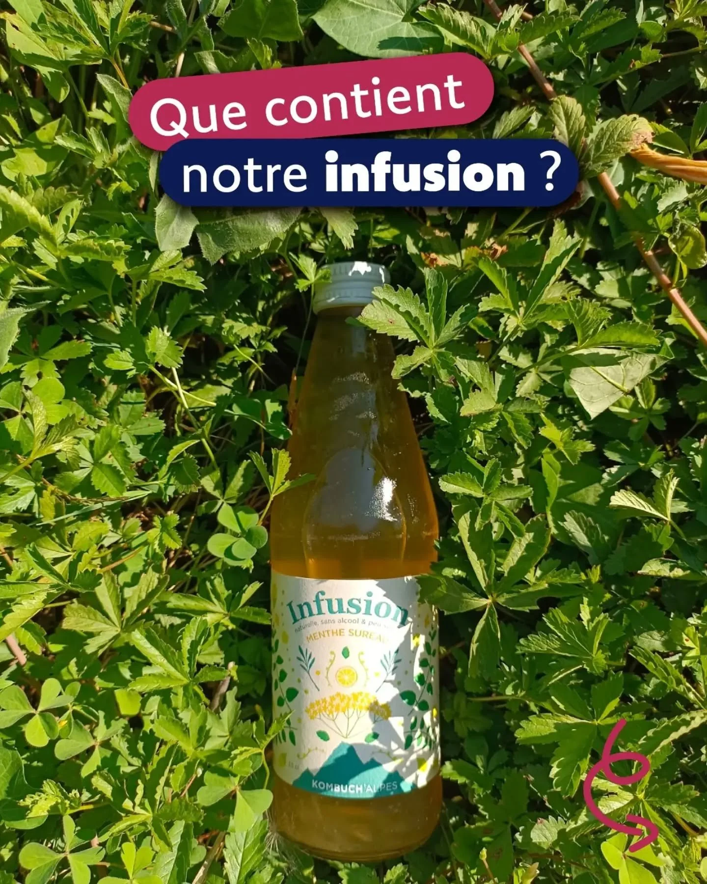 Et on vous parlera bient&ocirc;t des bienfaits de boire des infusions en hiver🌨️🧊... &Agrave; suivre 🙃