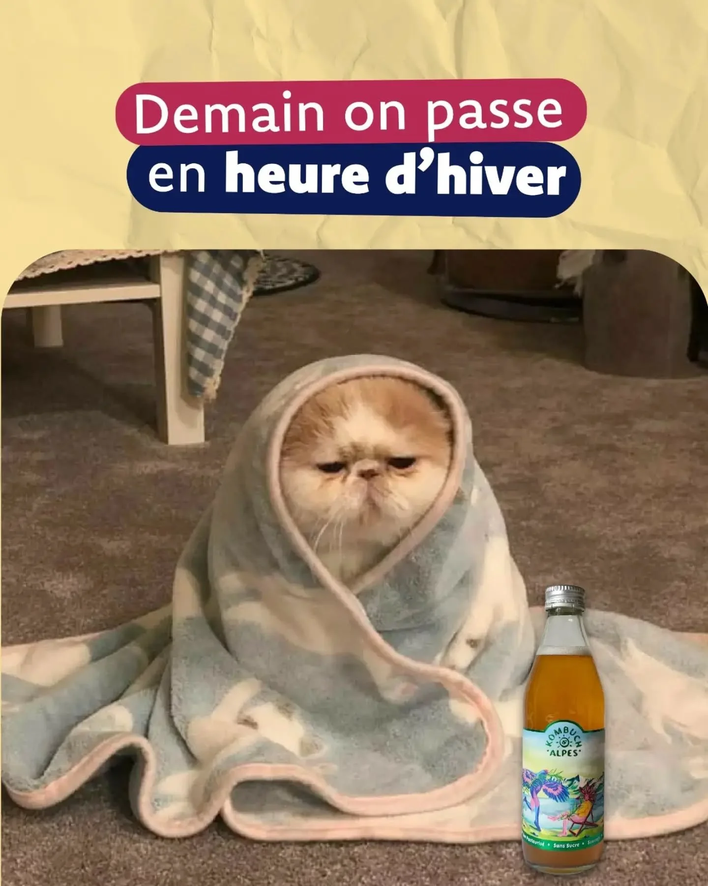 Bouillottes, plaids, s&eacute;ries, kombucha, nous sommes pr&ecirc;ts pour les 6 prochains mois... Heureusement qu'il y a le ski 

Et vous comment est-ce que vous vous &ecirc;tes pr&eacute;par&eacute;s pour cet automne et cet hiver ? 🥶