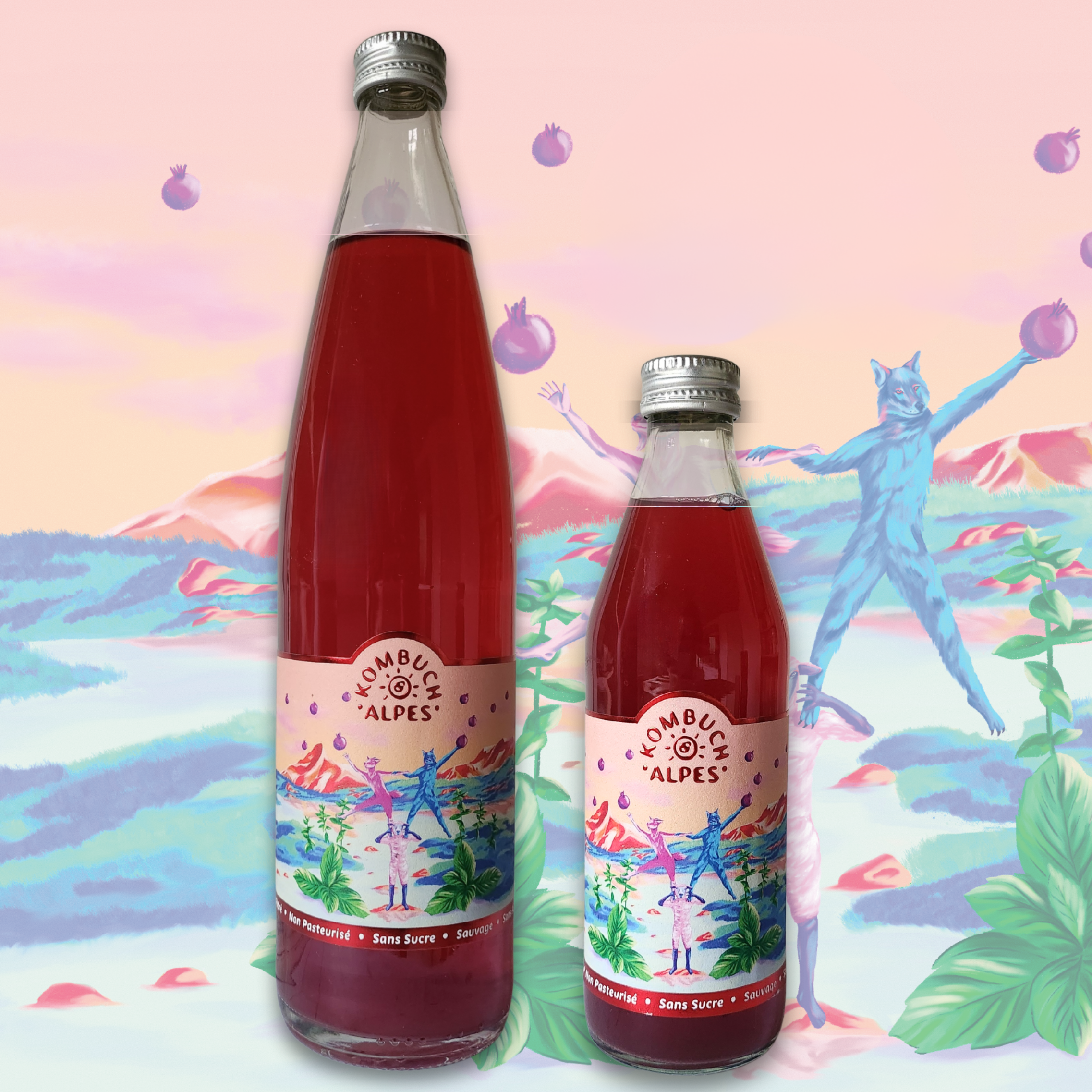 Kombucha Cassis Menthe