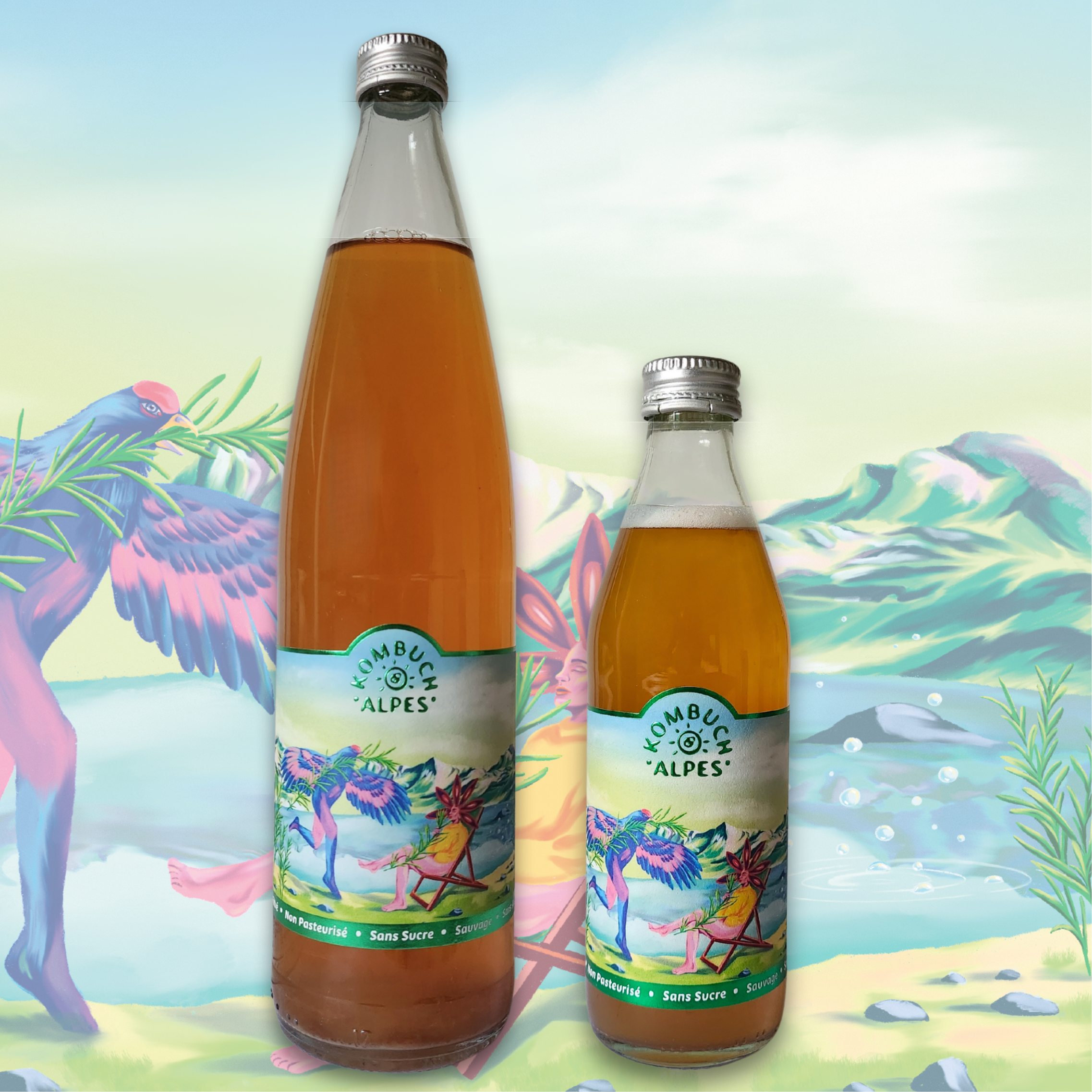Kombucha Badiane Romarin