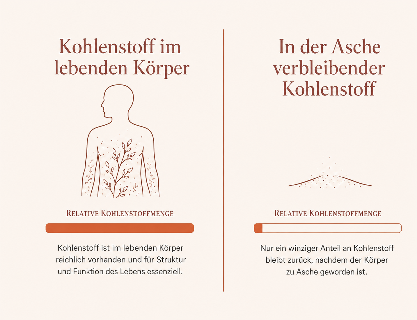 Grafik, die erklärt, dass Kremationsasche im Unterschied zum lebenden Körper nur eine geringe Menge Kohlenstoff in Form von Carbonat enthält.