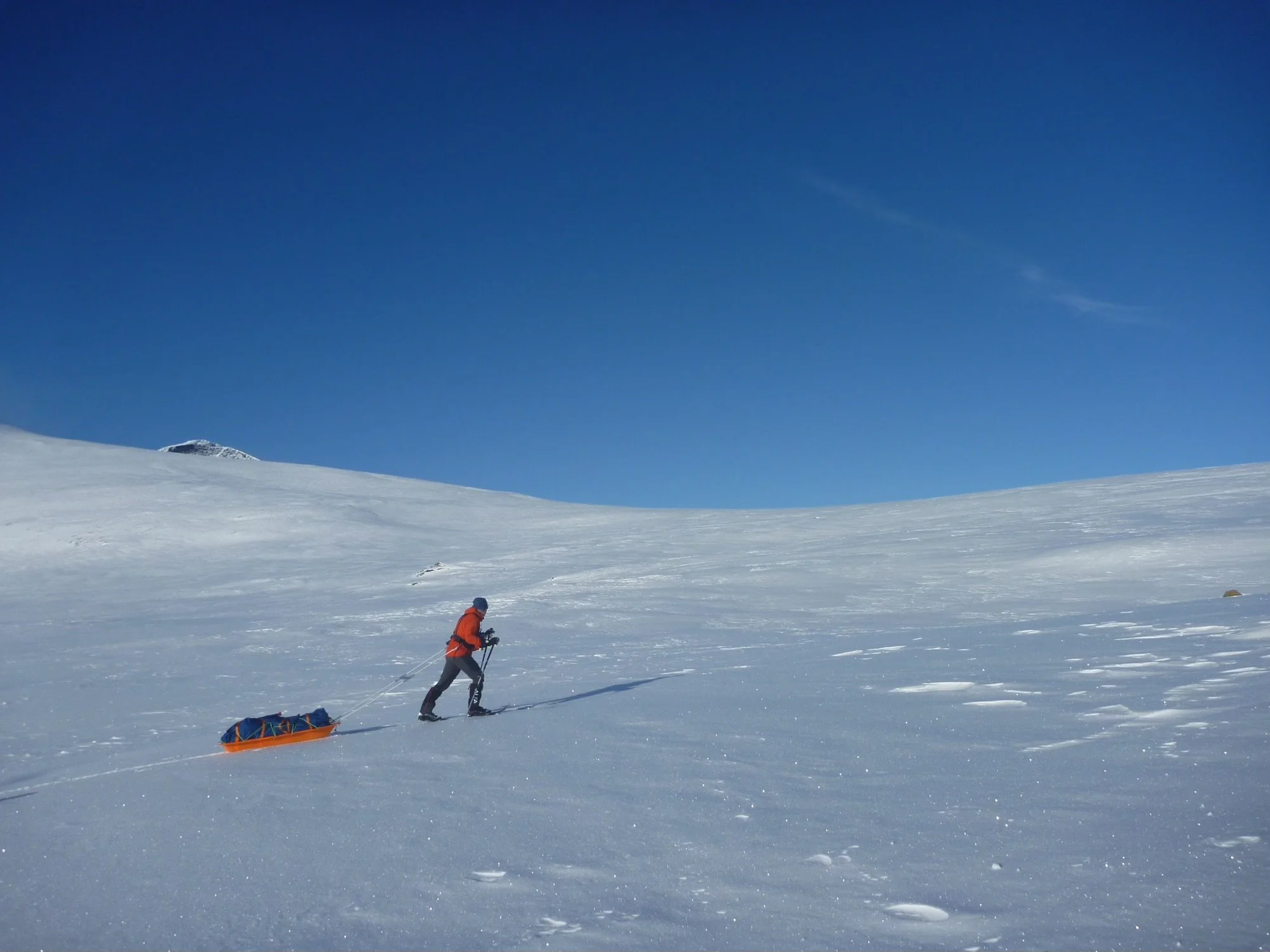 The Kungsleden (and champagne)