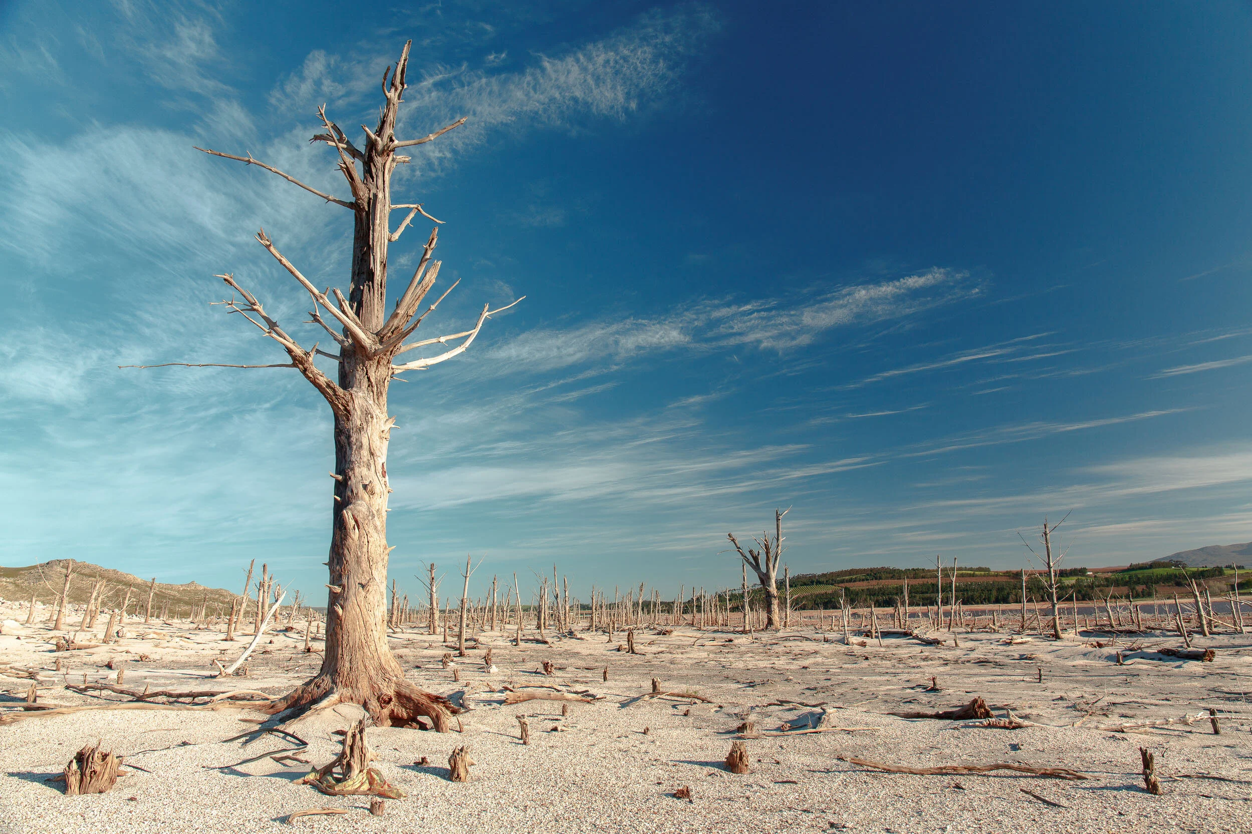 Dwindling water supplies at Theewaterskloof Dam, an earth-fill type dam located on the Sonderend River near Villiersdorp, Western Cape, South Africa, around 100km east of Cape Town. © Kevin Sawyer / Greenpeace