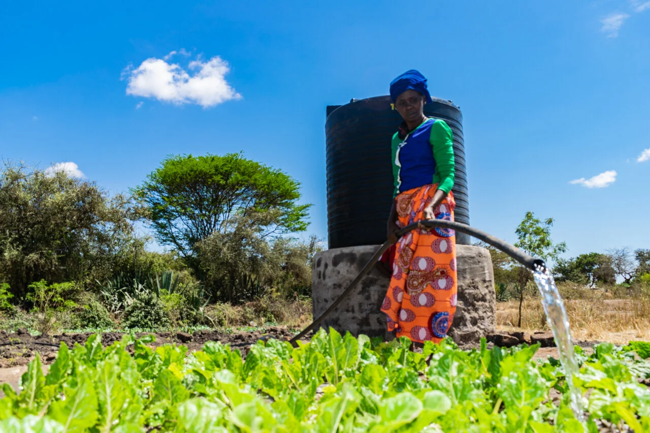 Stella Muthama, an ecological farmer in Kenya, watering her spinach using a solar powered water pump. © Greenpeace / Paul Basweti