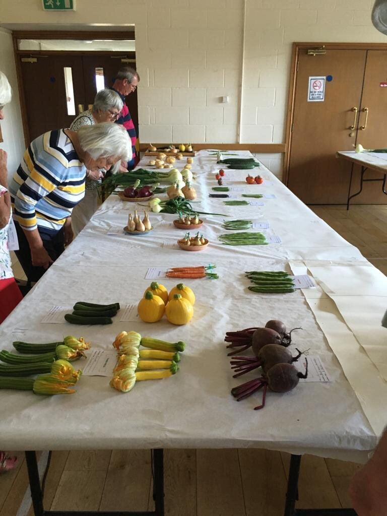 Pett Village Hall Flower Show 2021 04.jpeg