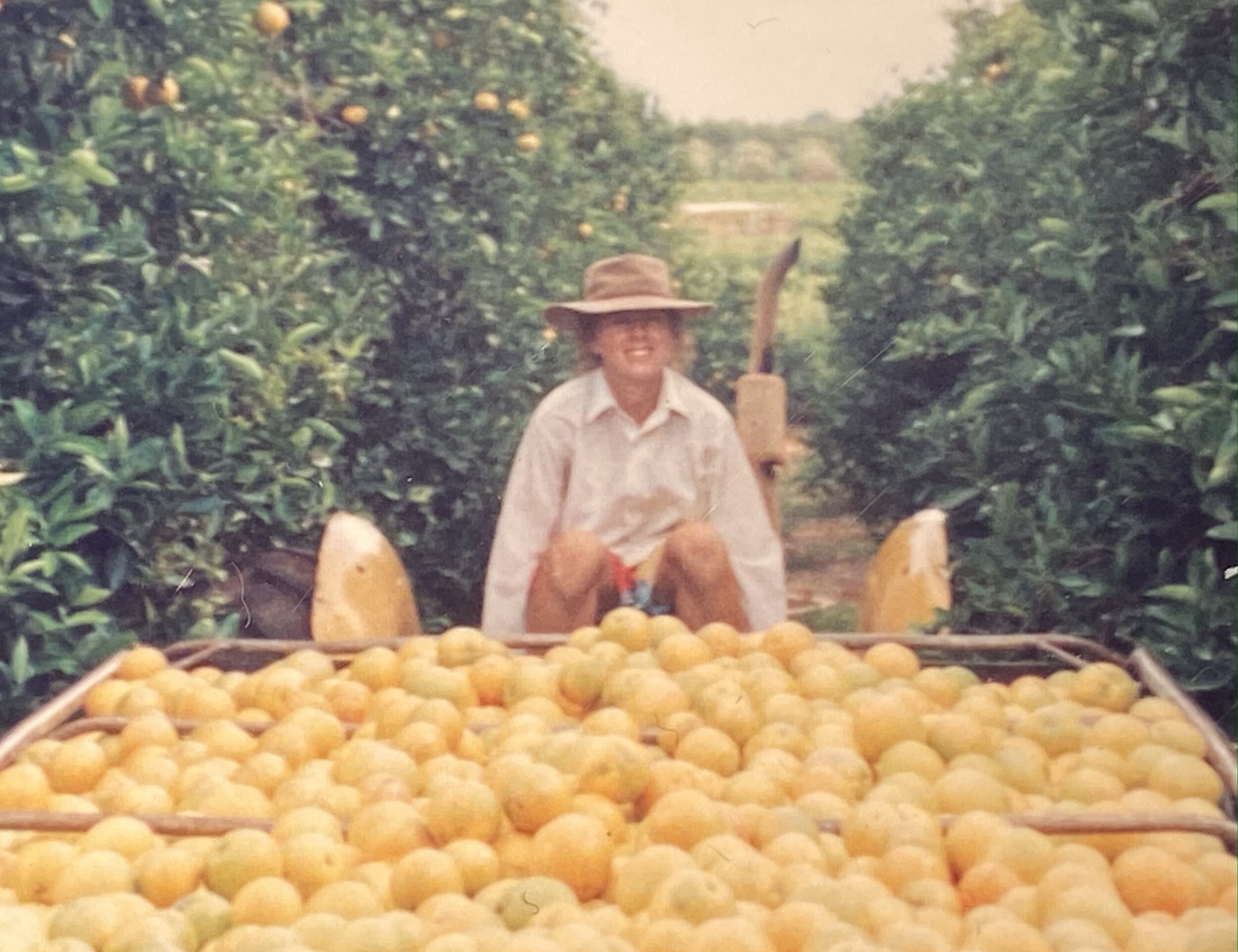 Fruit picking, approx 1990