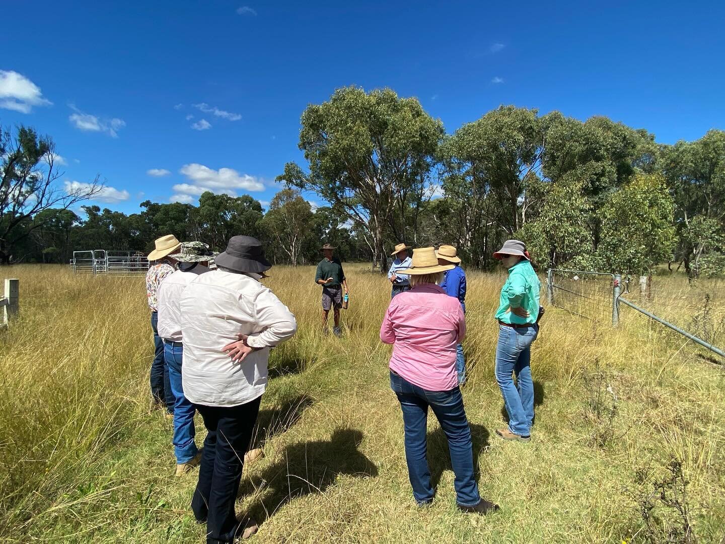 At a workshop with the Northern Slopes Landcare Green Triangle Landcare group last year Angus became inspired to invite the group for a visit to The Oasis to share our experiences using grazing management to restore soil health.  So today we have had