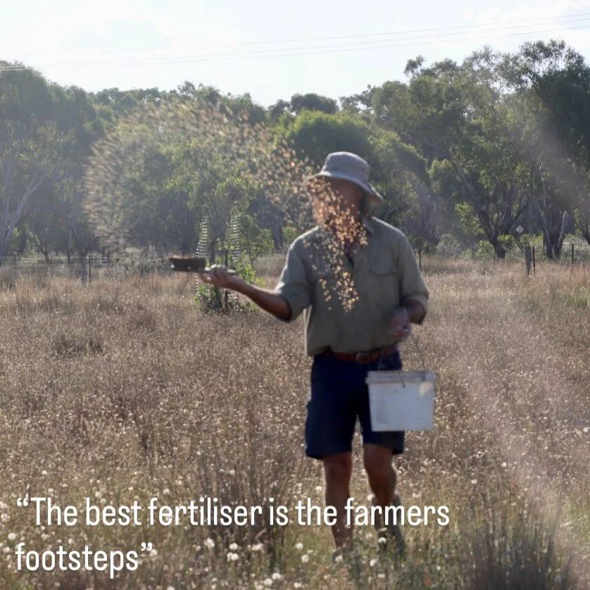 Feels good getting some biodynamic soil activator out this weekend with Angus. Life happens and we&rsquo;ve been a bit behind with our biodynamic practices of late, both of us were carrying injuries earlier this year which didn&rsquo;t help! (I&rsquo