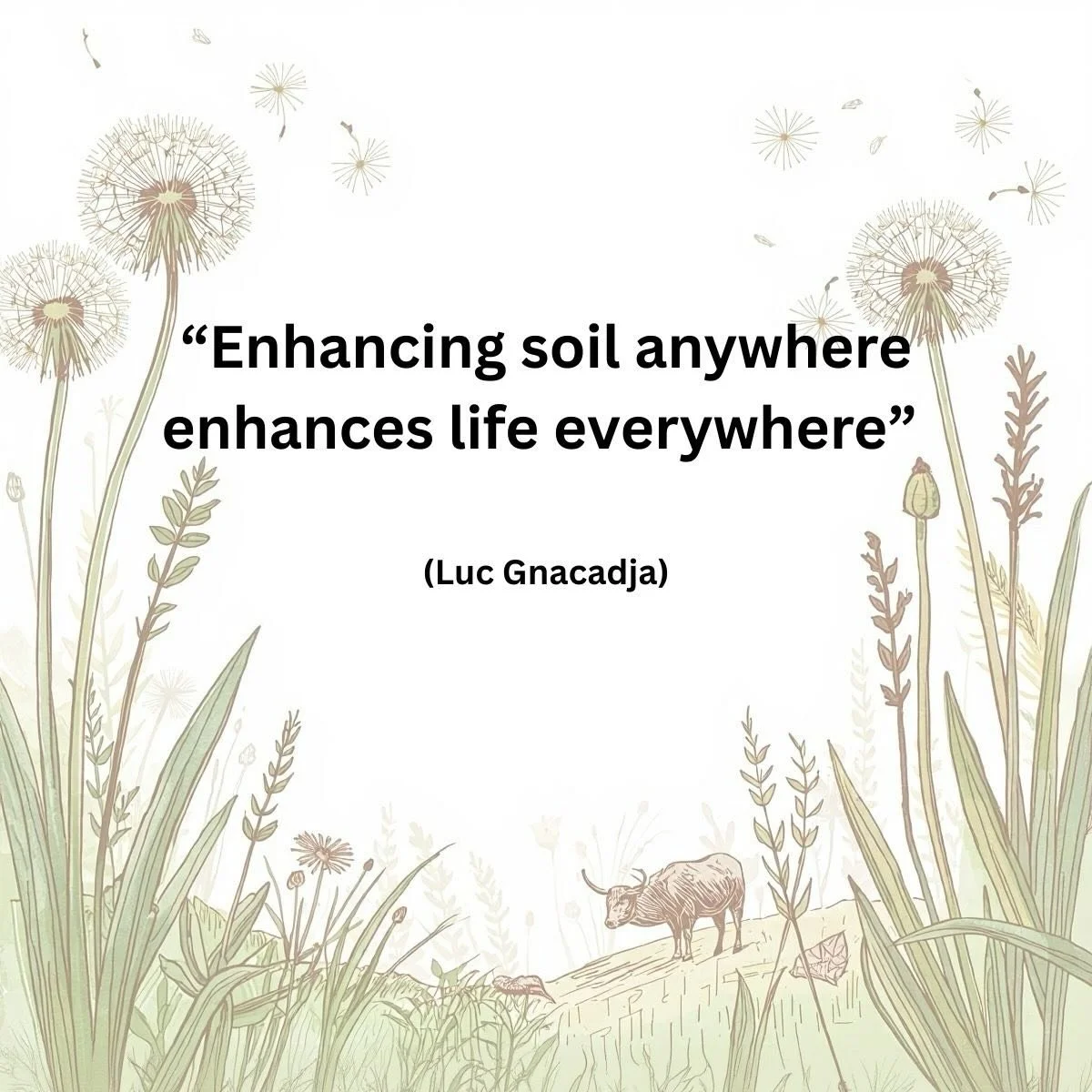 Soil health journeys create a ripple effect &hellip;
