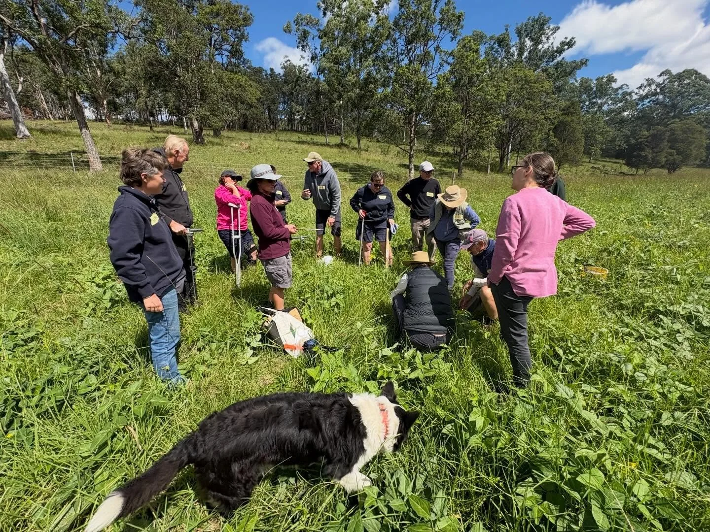 It was all about soil health, the water cycle and land capability this week facilitating day two of the Design Your Farm workshops near Taree and Gloucester with Hunter Local Land Services and MidCoast Council. I love seeing participants get more con