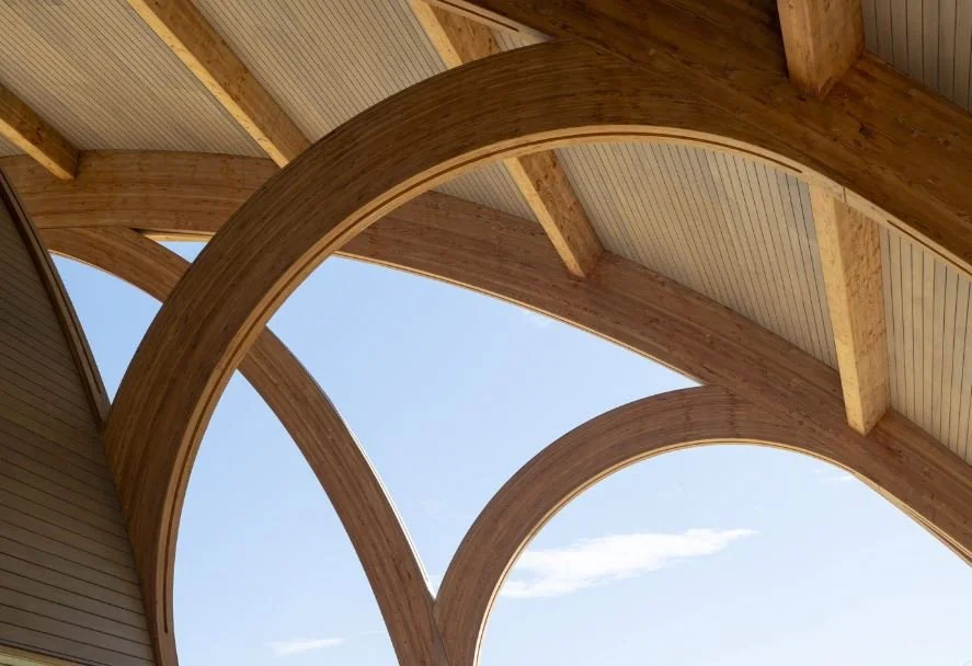 Il mercato globale del legno e della carta: sostenibilità, certificazione e trend