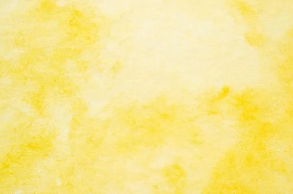 The solidarity contract as a European labour adjustment tool