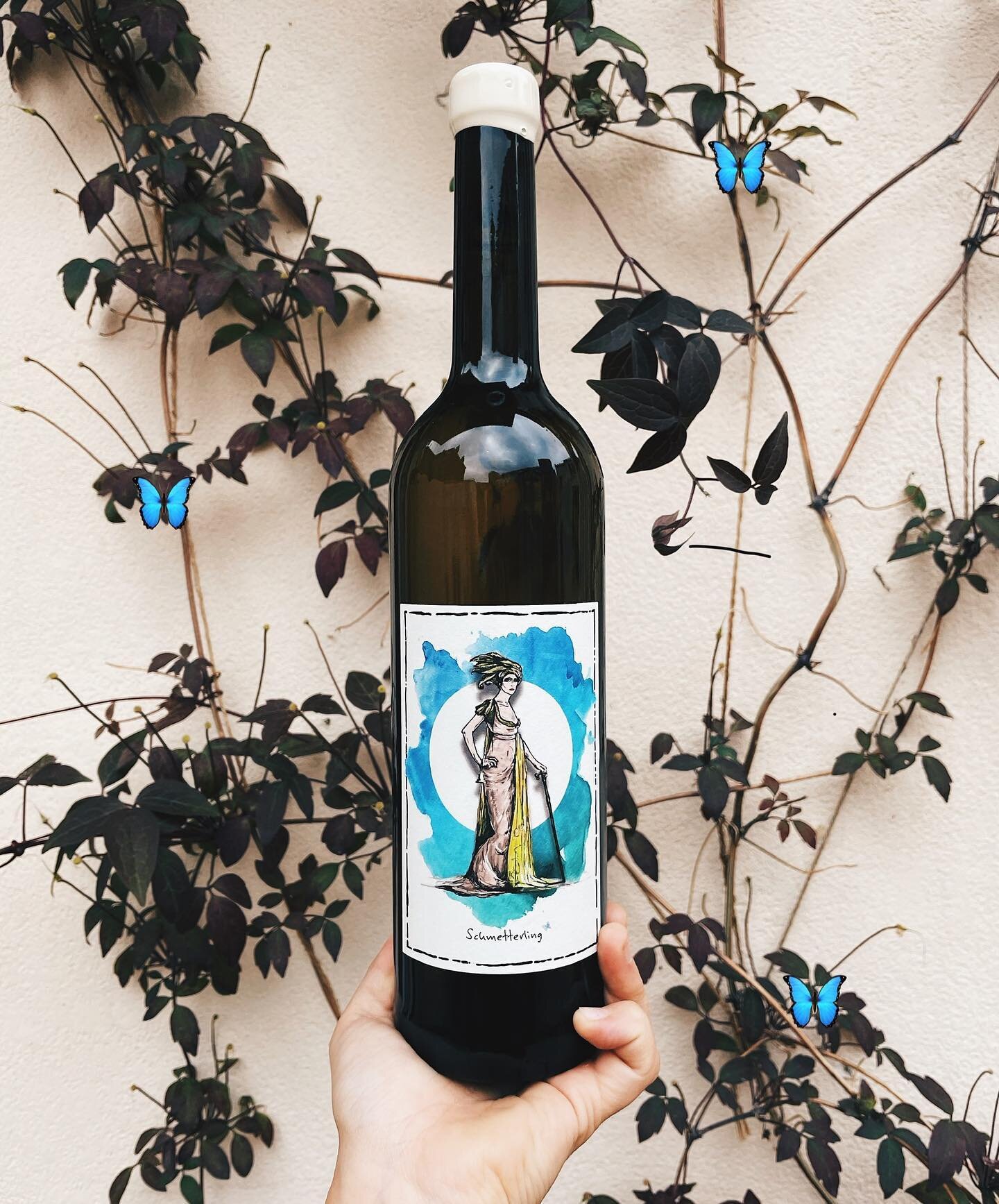 come my lady, come come my lady
you&rsquo;re my butterfly, sugar baby
come my lady, come come my lady
@madameflockwines makes your leg shake, you make me go crazy

monday morning mood - spread your wings and fly. I see the sun breaking, shining throu