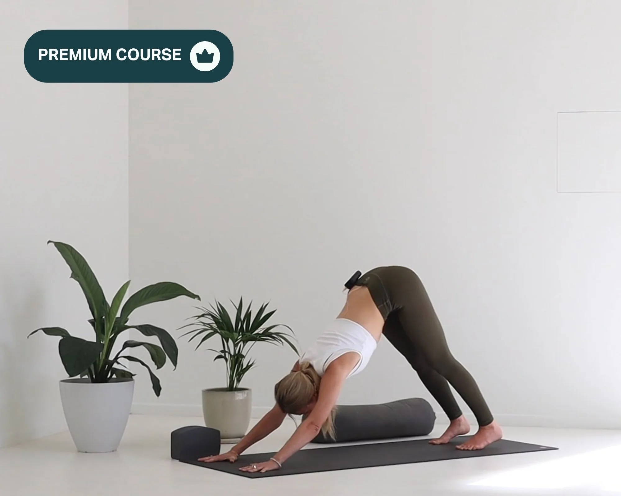 courses for yoga
