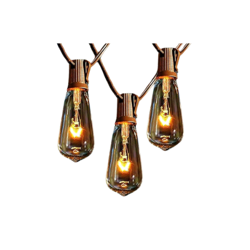 Vintage Edison Bulbs